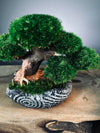 Slow Wood - Young - Anchor Spiral edition (Preserved Plants)