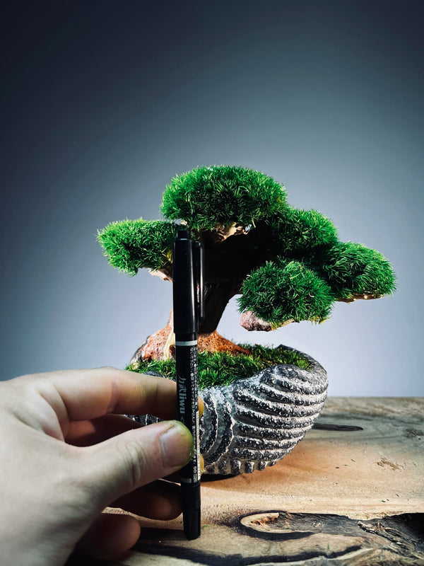 Slow Wood - Young - Anchor Spiral edition (Preserved Plants)