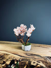 A Small Tree in the East - Sakura (Preserved Plants)