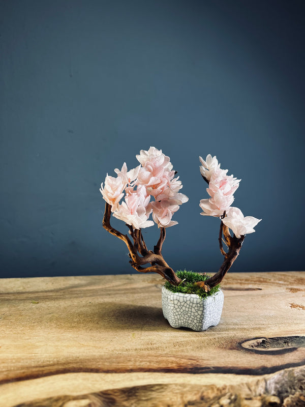A Small Tree in the East - Sakura (Preserved Plants)