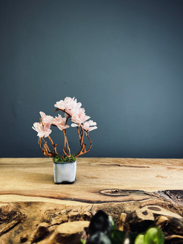 A Small Tree in the East - Sakura (Preserved Plants)