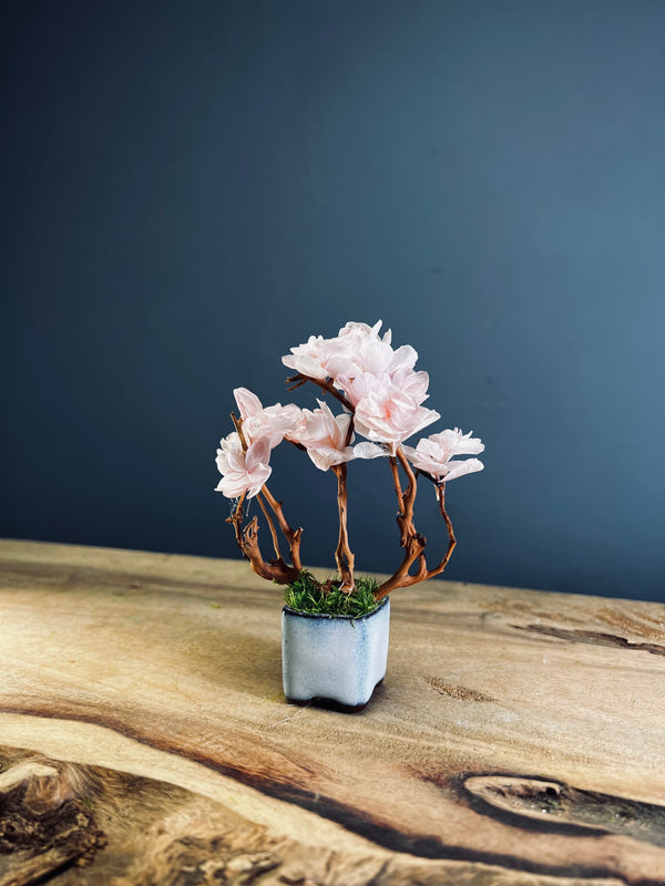 A Small Tree in the East - Sakura (Preserved Plants)