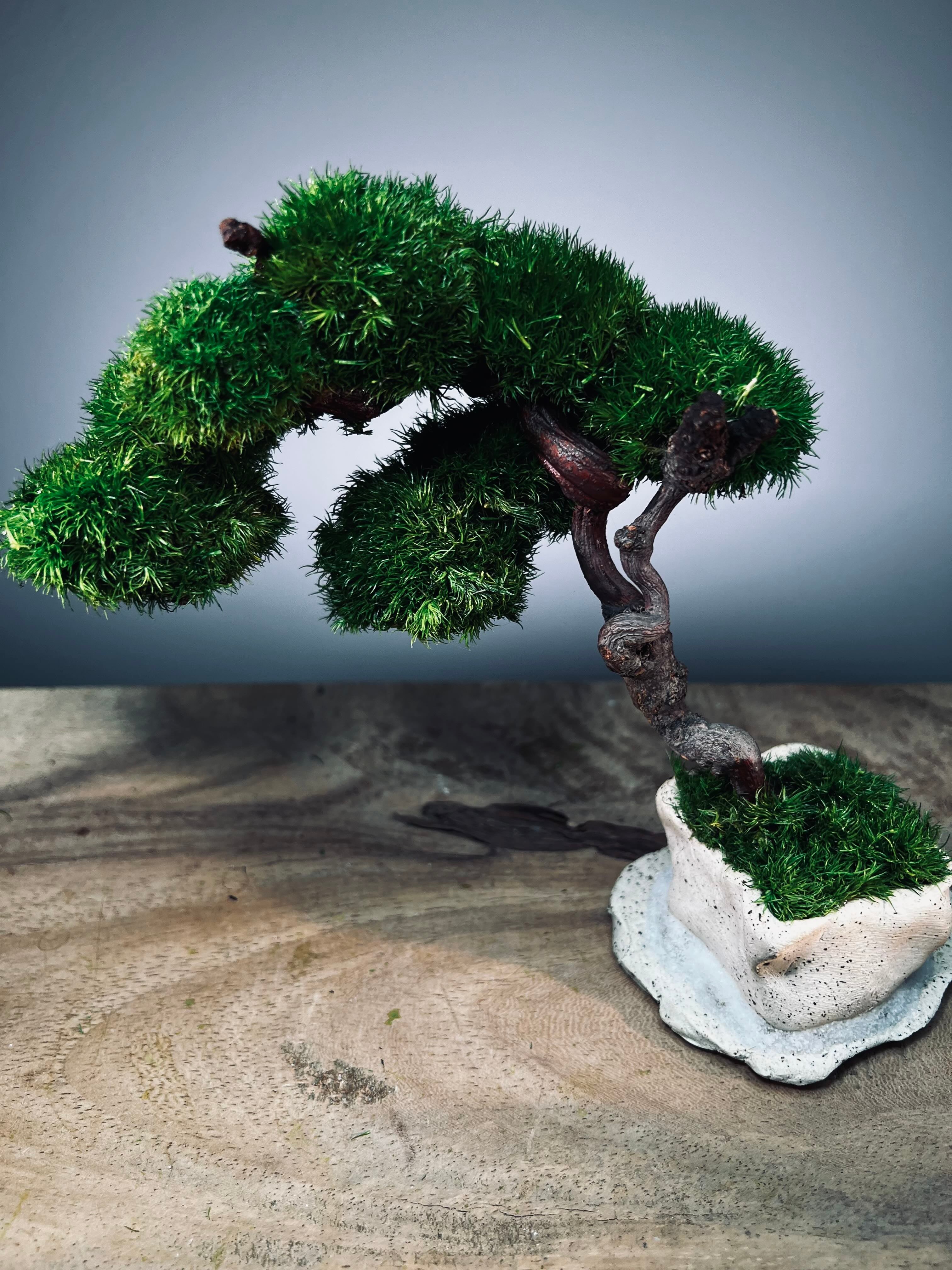 Rosewood - An Artist's Grace (Preserved Plants)