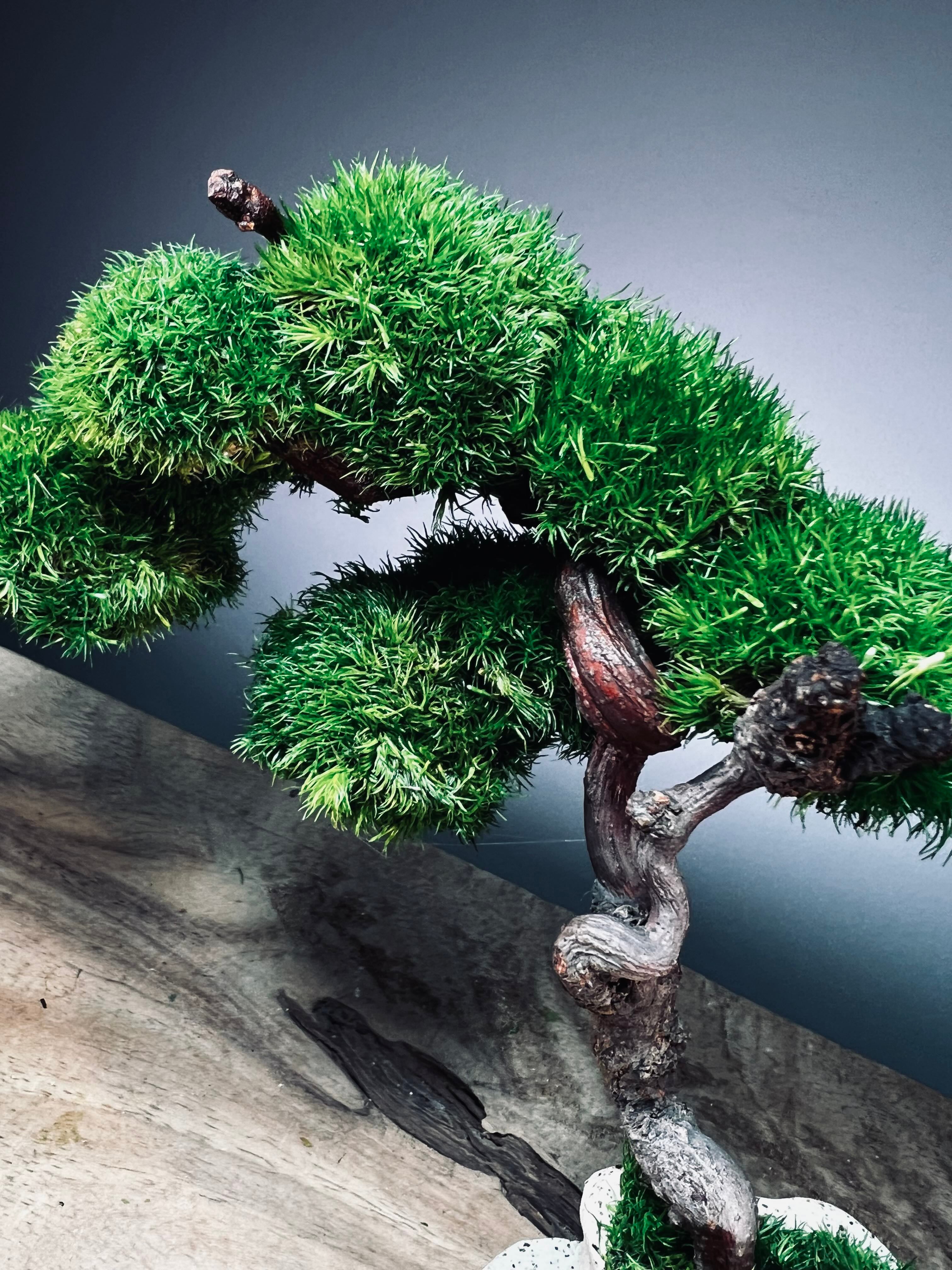 Rosewood - An Artist's Grace (Preserved Plants)