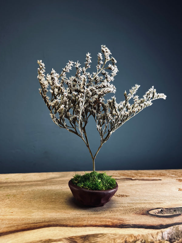 Kindling - Statice edition - Smaller version (Preserved Plants)