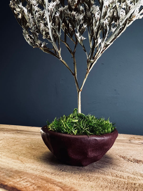 Kindling - Statice edition - Smaller version (Preserved Plants)