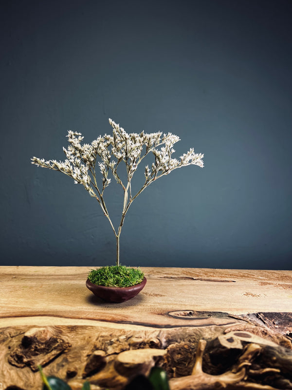 Kindling - Statice edition - Smaller version (Preserved Plants)