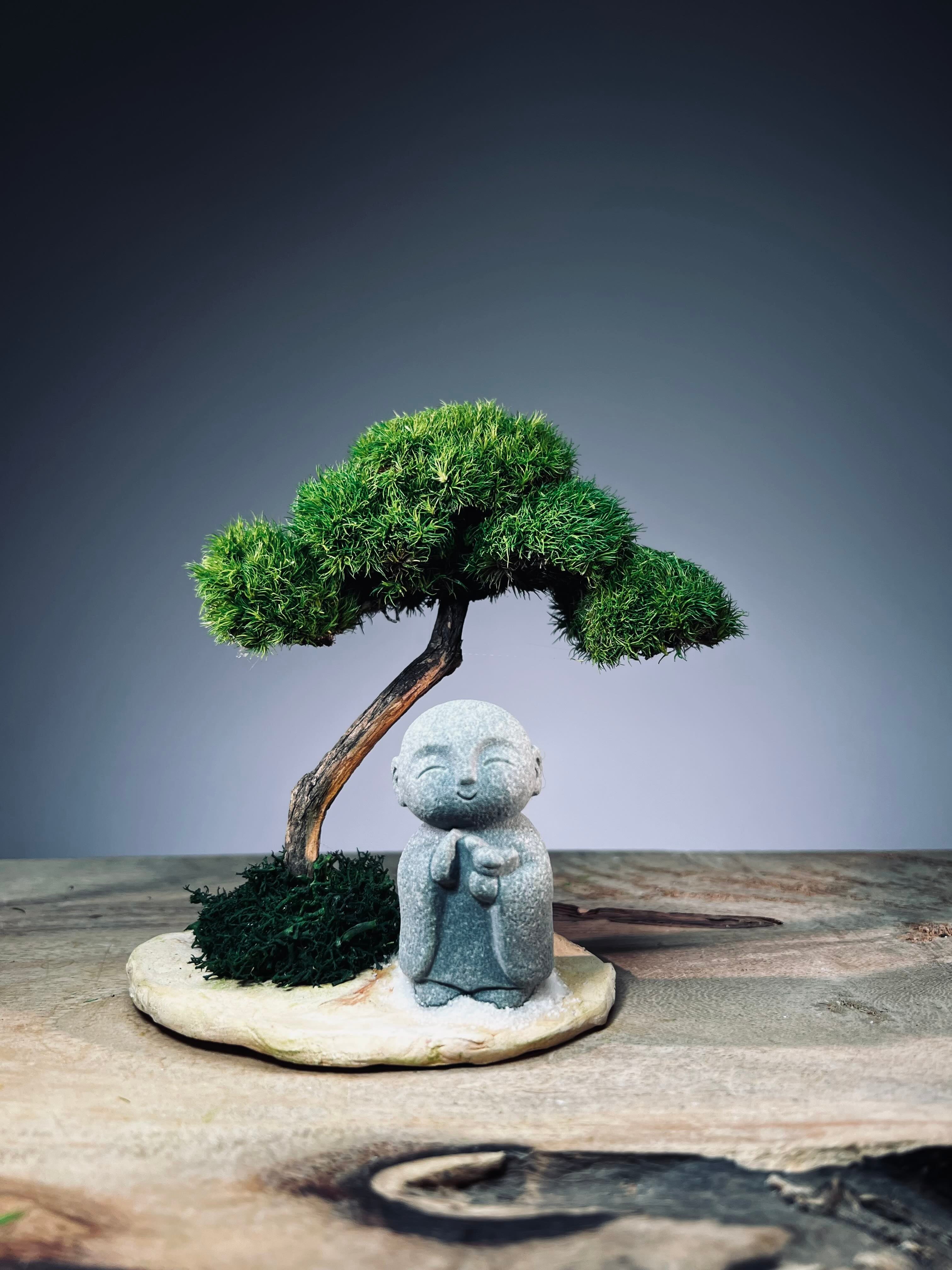 A Small Tree in the East - Classic - Journeyman (Preserved Plants)