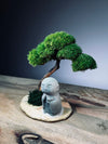 A Small Tree in the East - Classic - Journeyman (Preserved Plants)