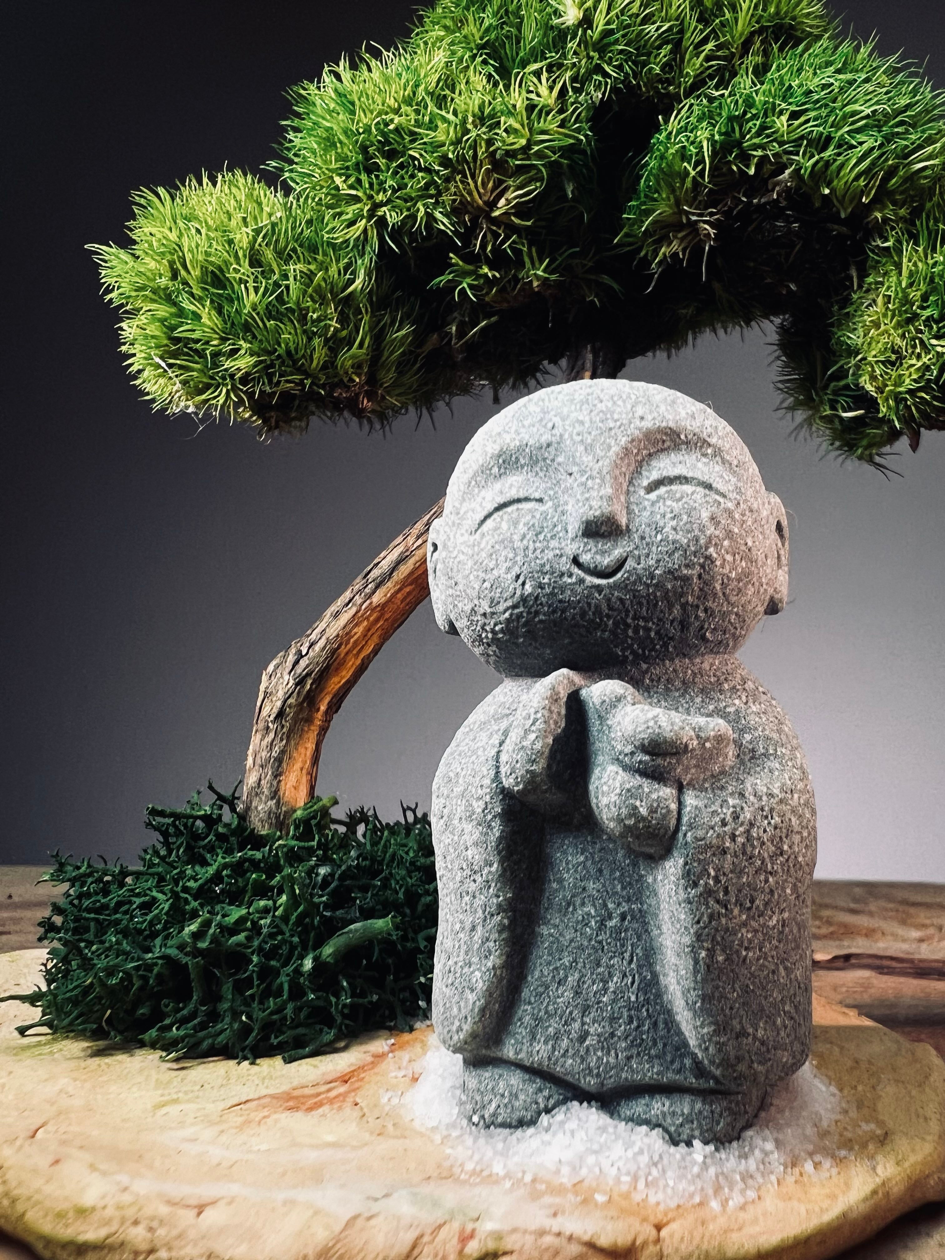 A Small Tree in the East - Classic - Journeyman (Preserved Plants)