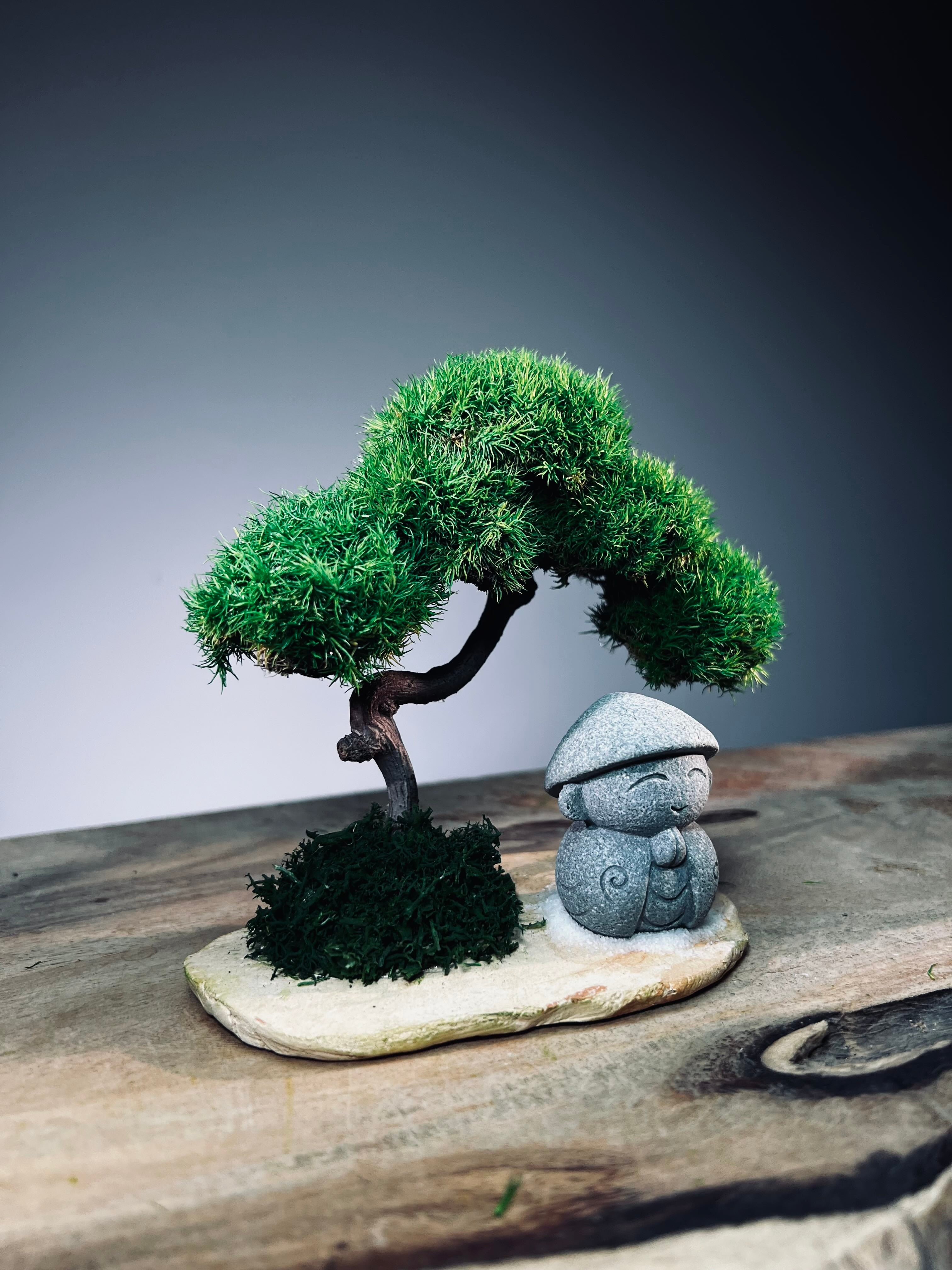 A Small Tree in the East - Classic - Journeyman (Preserved Plants)