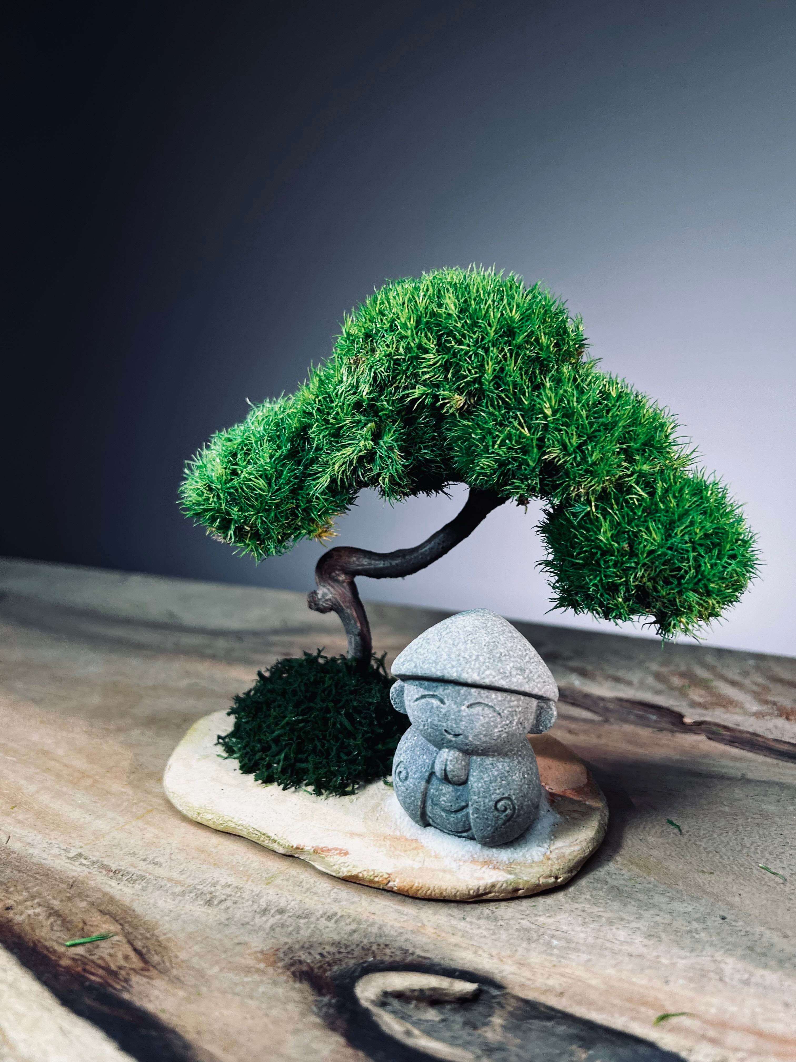 A Small Tree in the East - Classic - Journeyman (Preserved Plants)