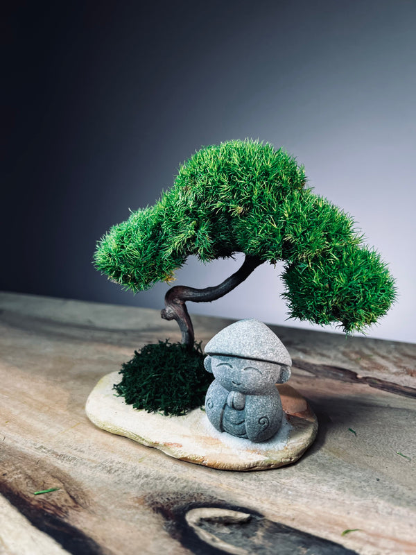A Small Tree in the East - Classic - Journeyman (Preserved Plants)