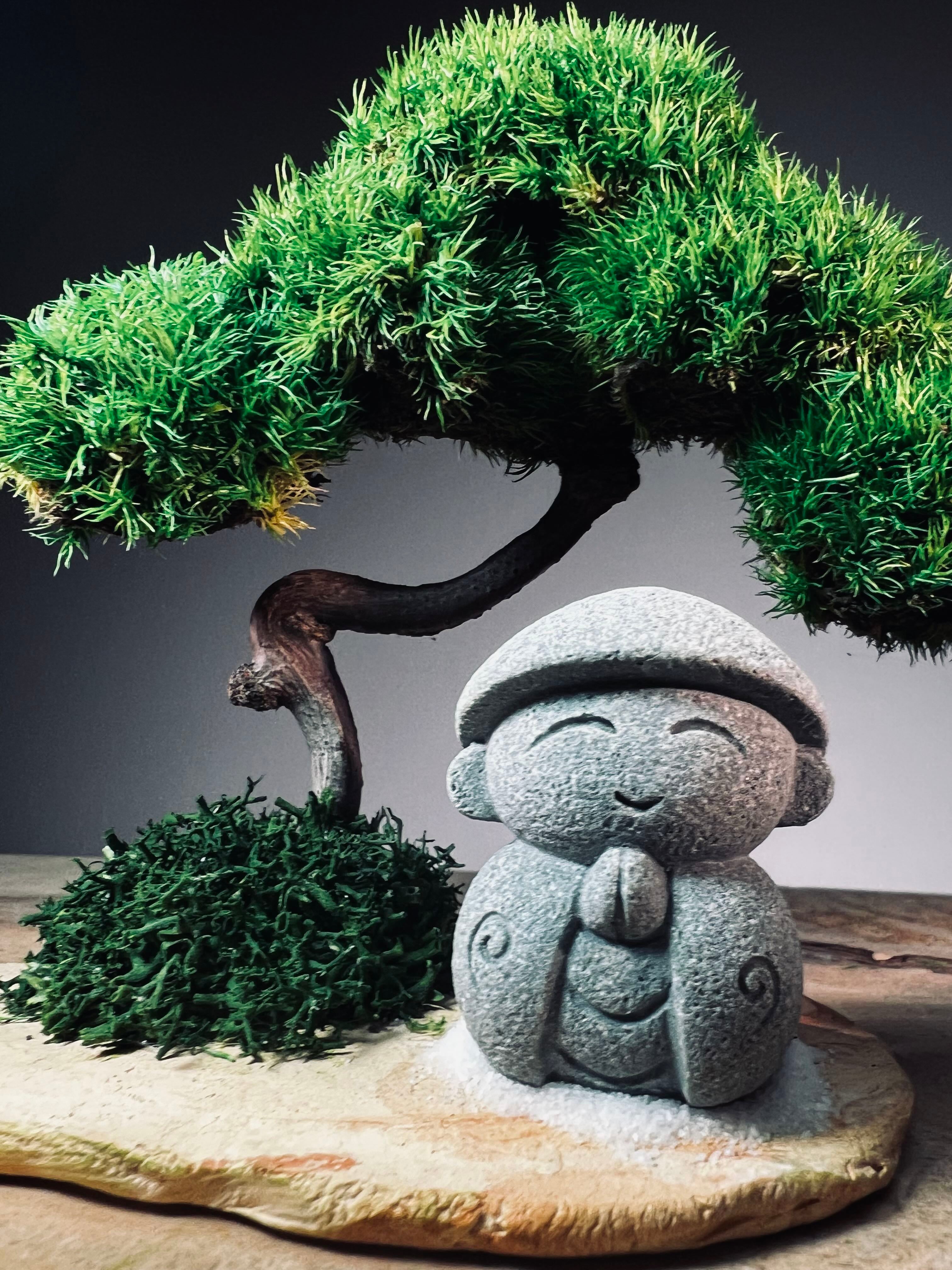 A Small Tree in the East - Classic - Journeyman (Preserved Plants)