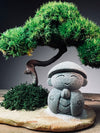 A Small Tree in the East - Classic - Journeyman (Preserved Plants)