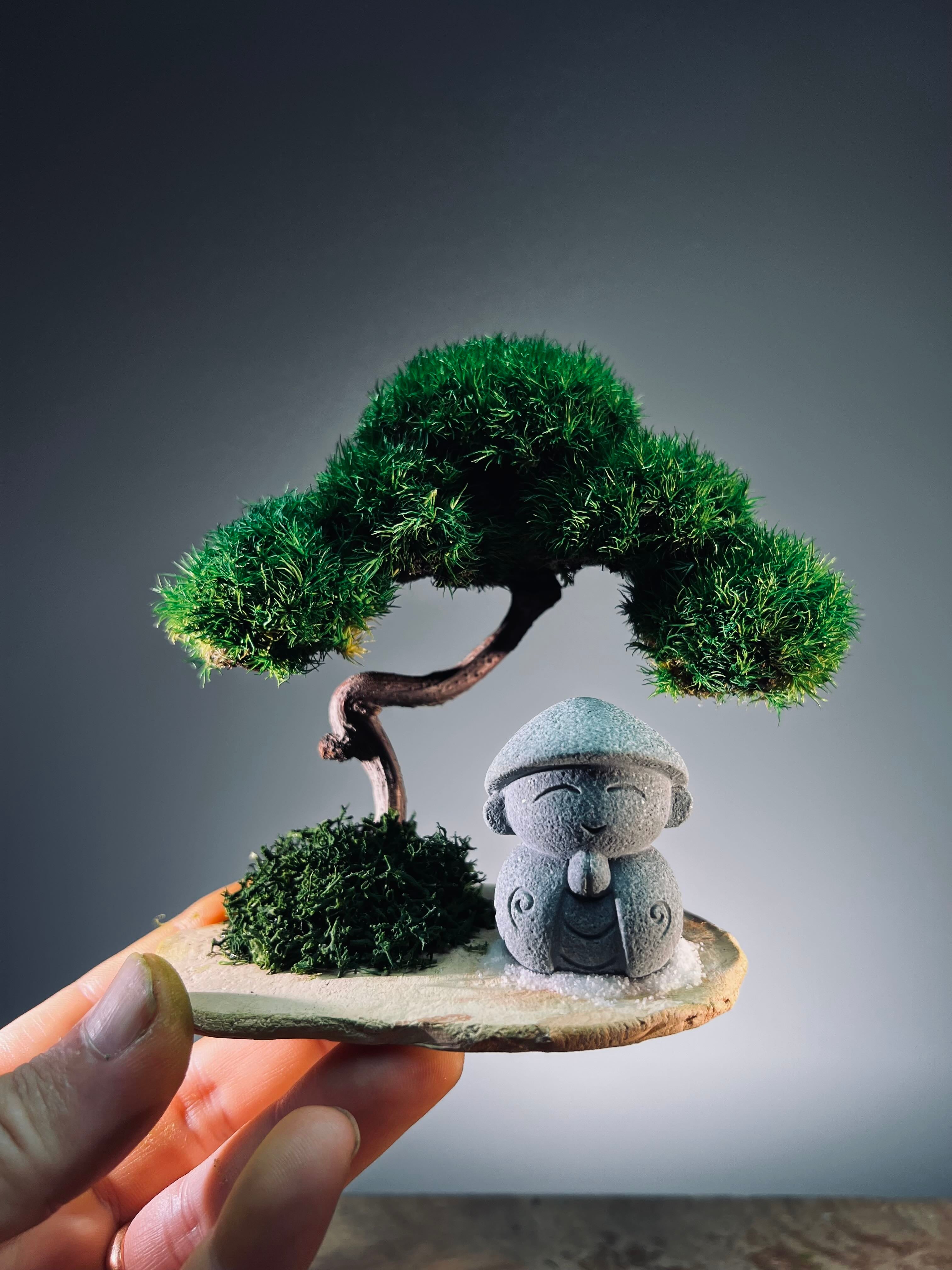 A Small Tree in the East - Classic - Journeyman (Preserved Plants)