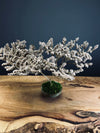 Kindling - Statice edition (Preserved Plants)