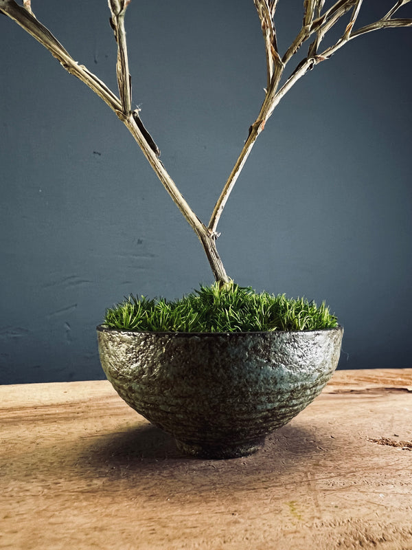 Kindling - Statice edition (Preserved Plants)