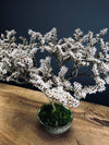 Kindling - Statice edition (Preserved Plants)