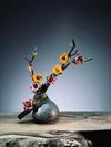 Children of the Forest - Starry Night (Preserved Plants)