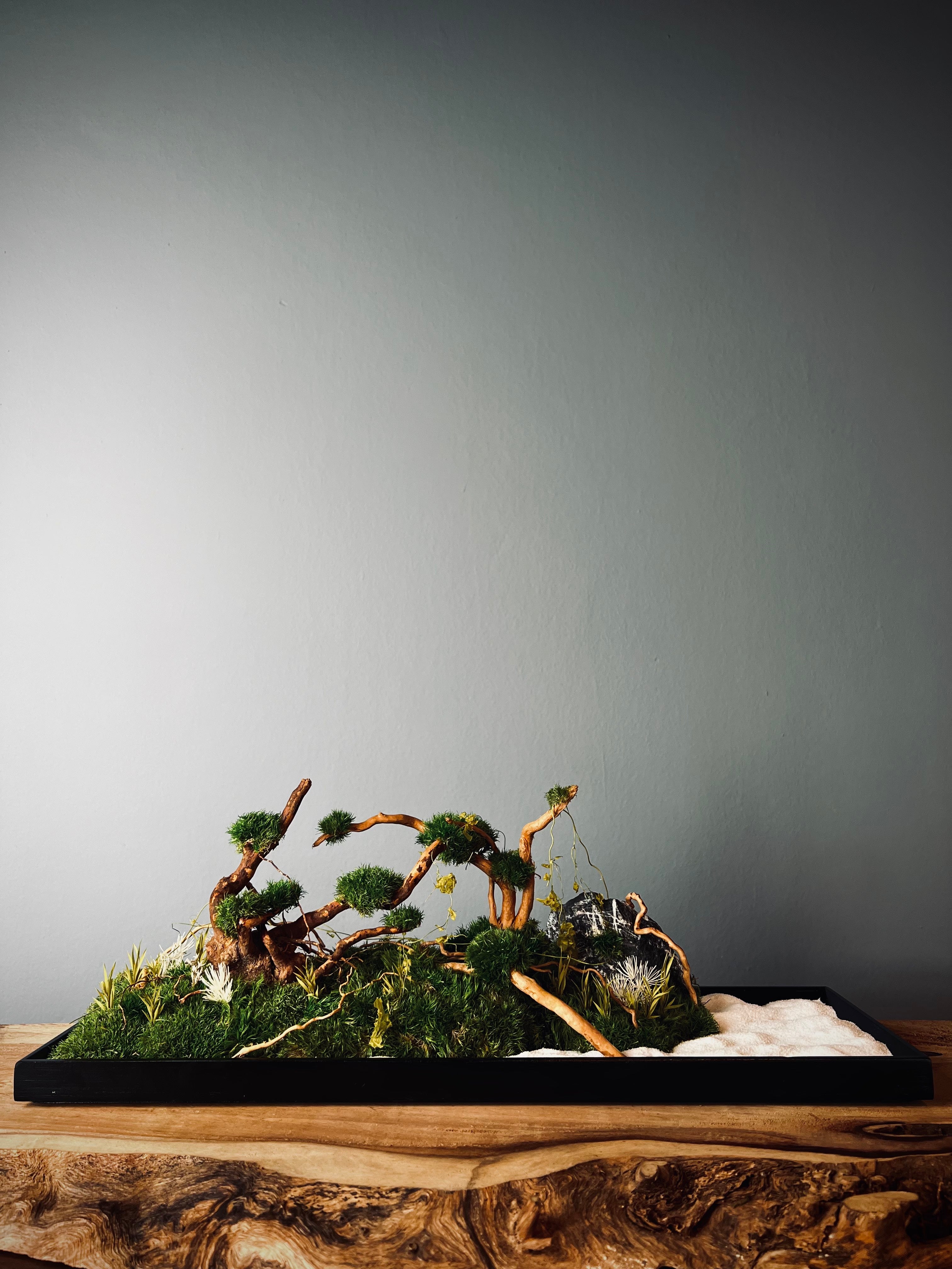 Land of Wild (Preserved Plants)