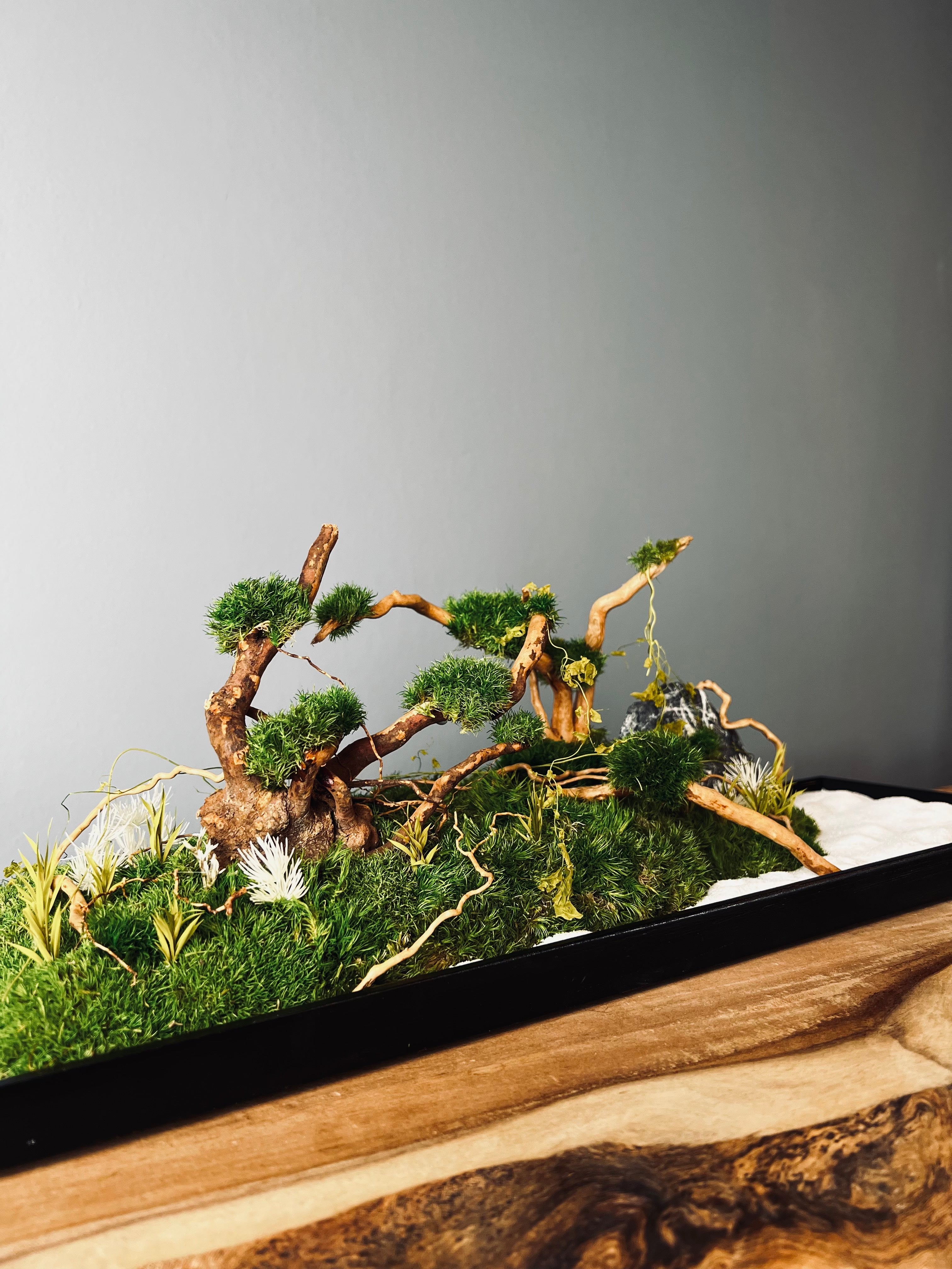 Land of Wild (Preserved Plants)