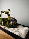 Land of Wild (Preserved Plants)