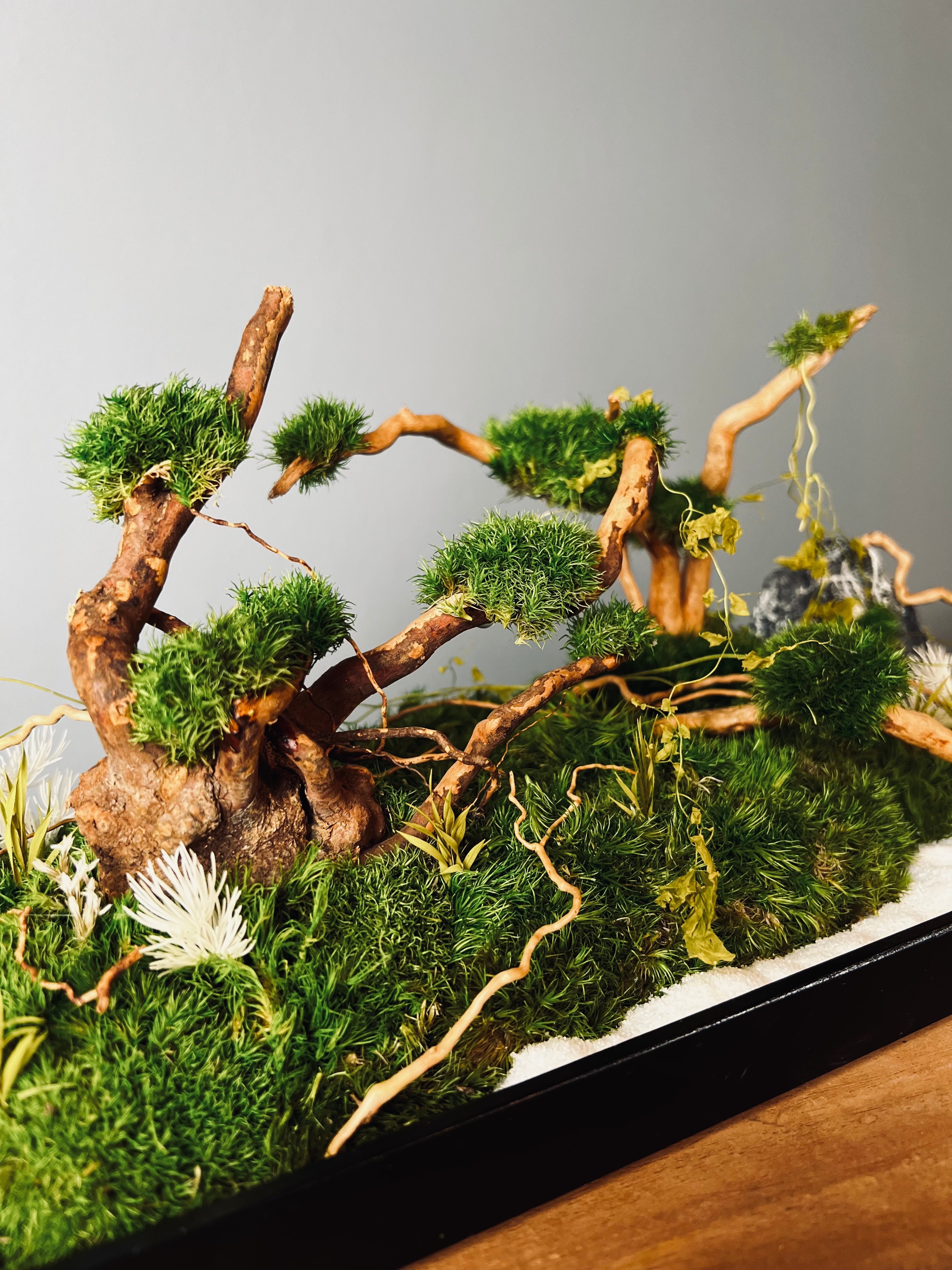 Land of Wild (Preserved Plants)
