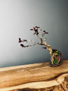 Half-Moon Bay - In Autumn (Preserved Plants)