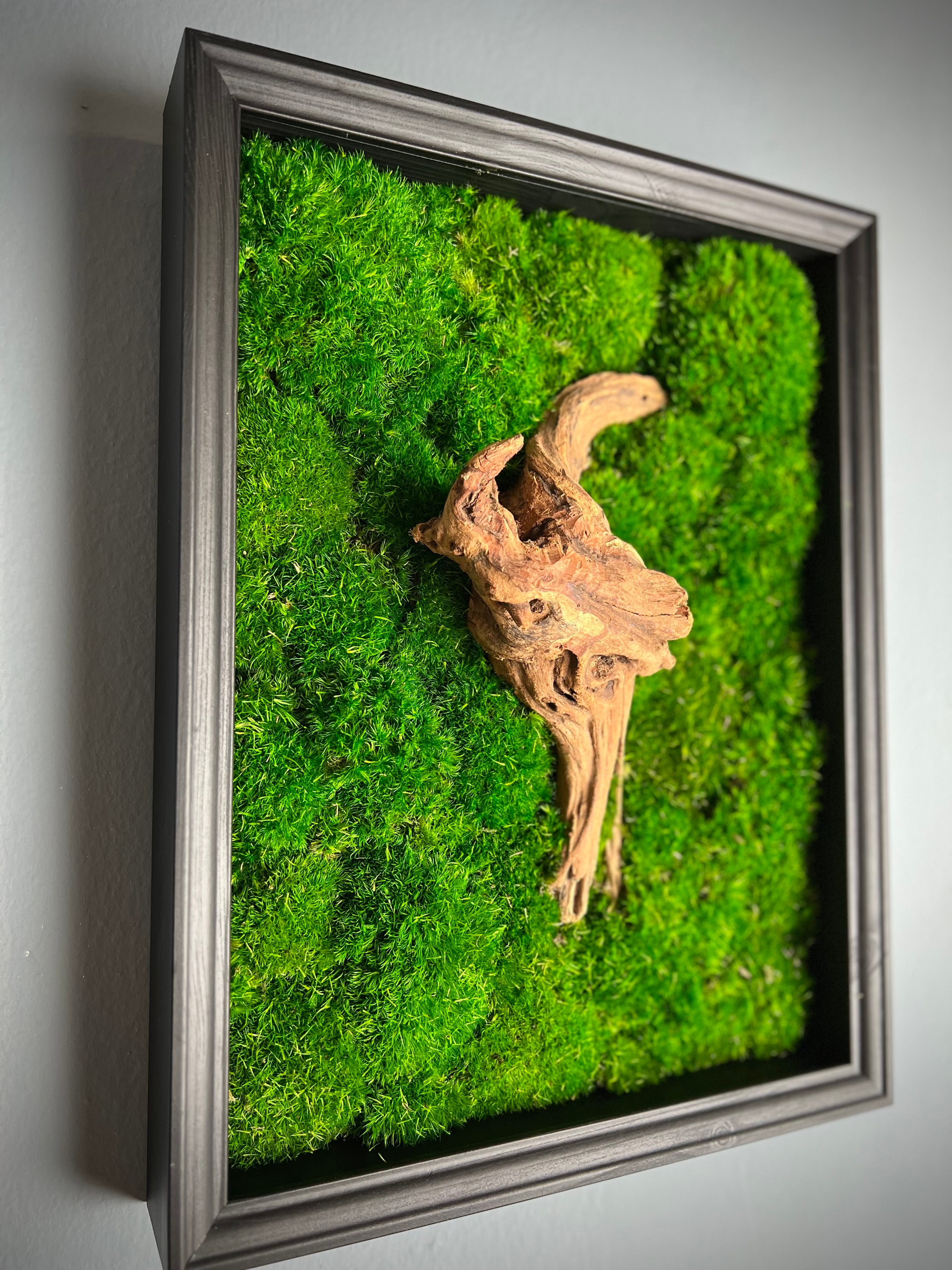 Reflection - Wall Hanging edition (Preserved Plants)