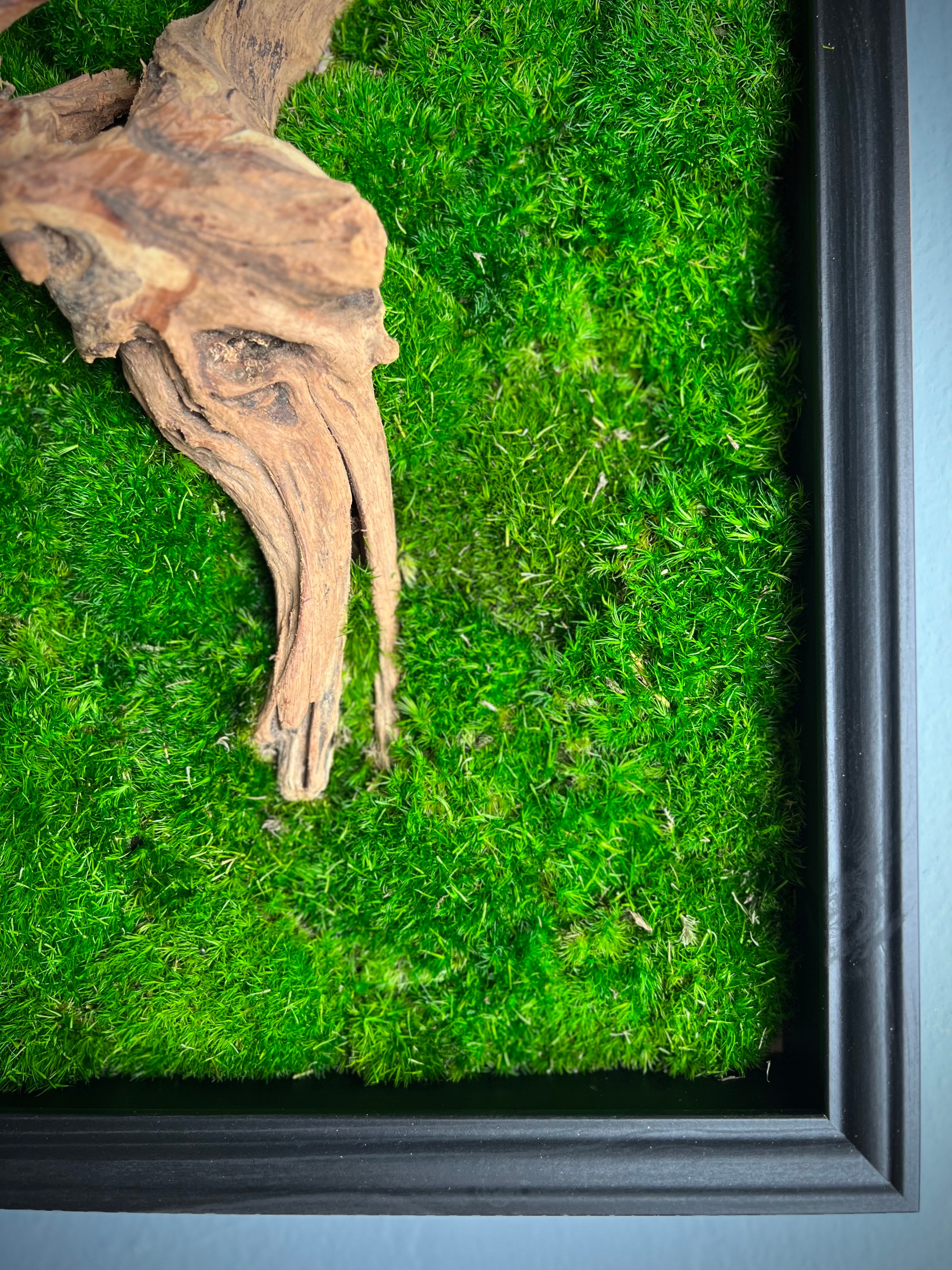 Reflection - Wall Hanging edition (Preserved Plants)