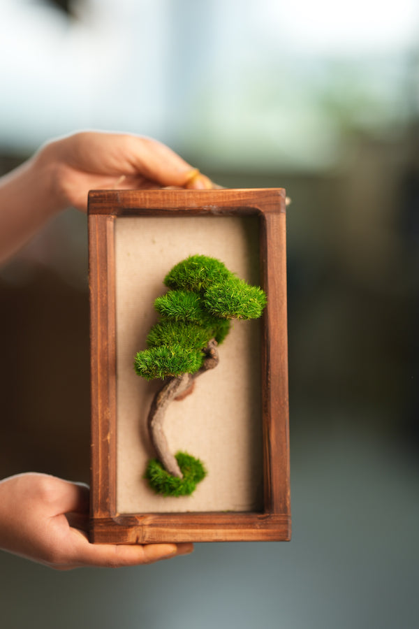 A Small Tree in the East - Wall Hanging edition (Preserved Plants)