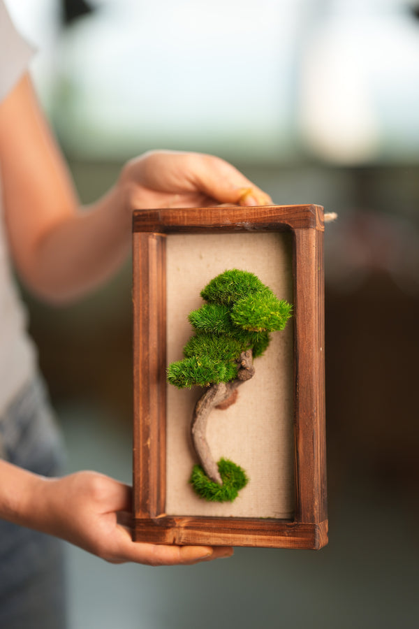 A Small Tree in the East - Wall Hanging edition (Preserved Plants)