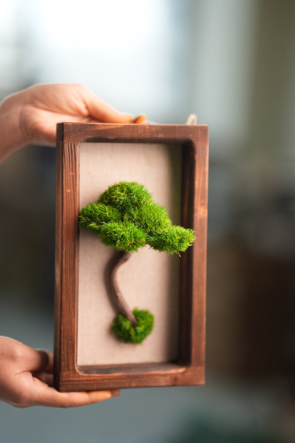 A Small Tree in the East - Wall Hanging edition (Preserved Plants)