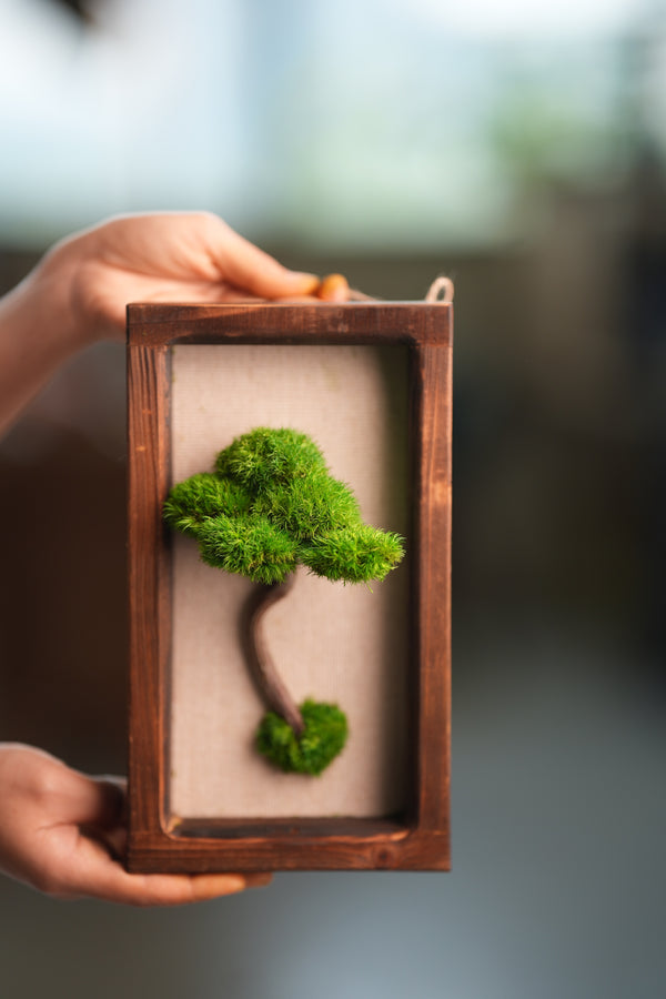 A Small Tree in the East - Wall Hanging edition (Preserved Plants)