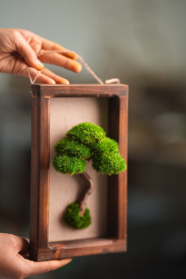 A Small Tree in the East - Wall Hanging edition (Preserved Plants)