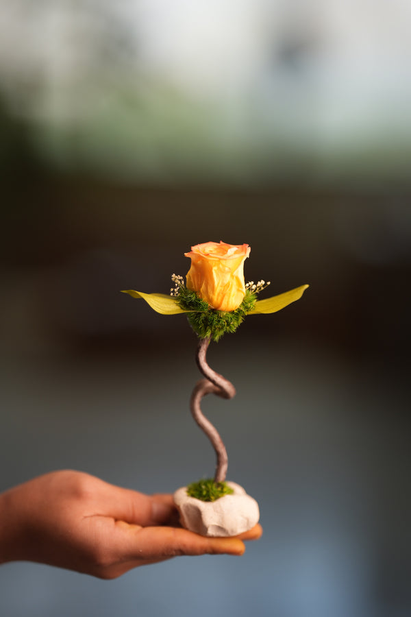 Children of the Forest - Jupiter - Smaller (Preserved Plants)