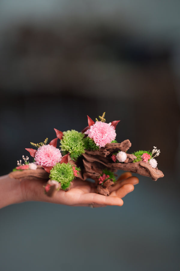 Children of the Forest - Driftwood (Preserved Plants)