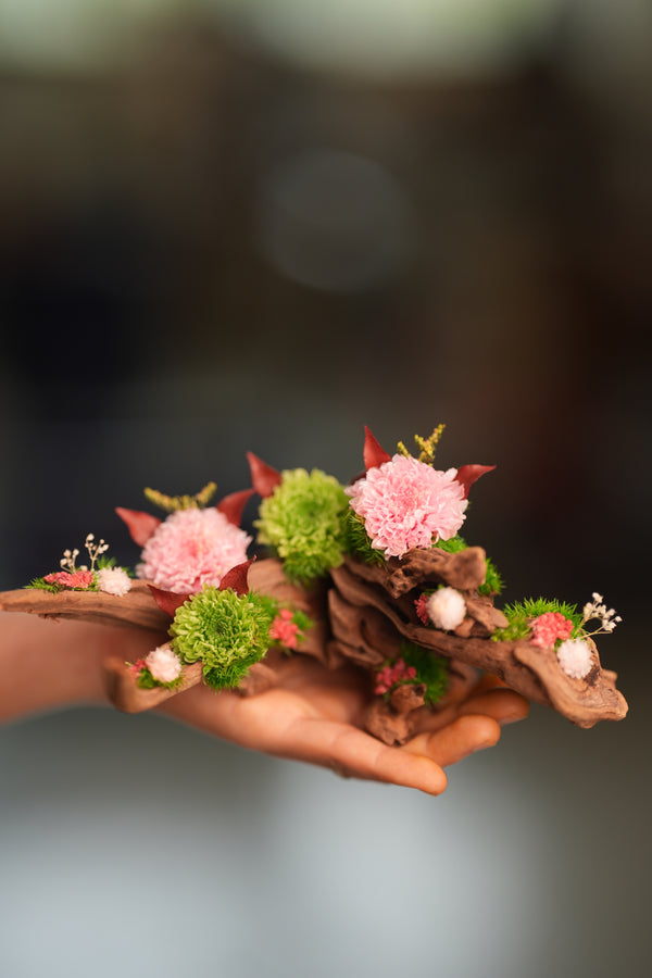 Children of the Forest - Driftwood (Preserved Plants)
