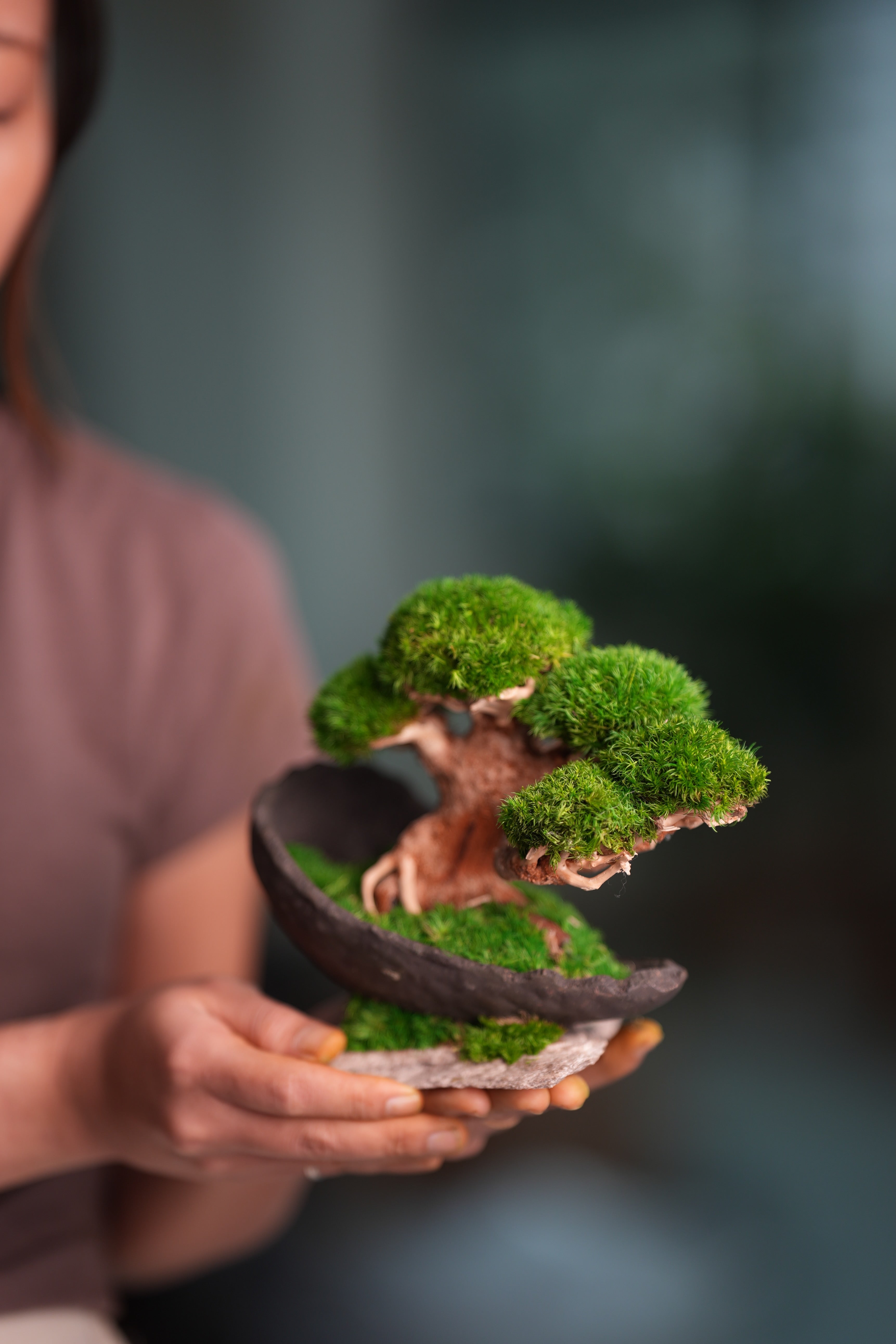 Slow Wood - Young - Half Moon (Preserved Plants)