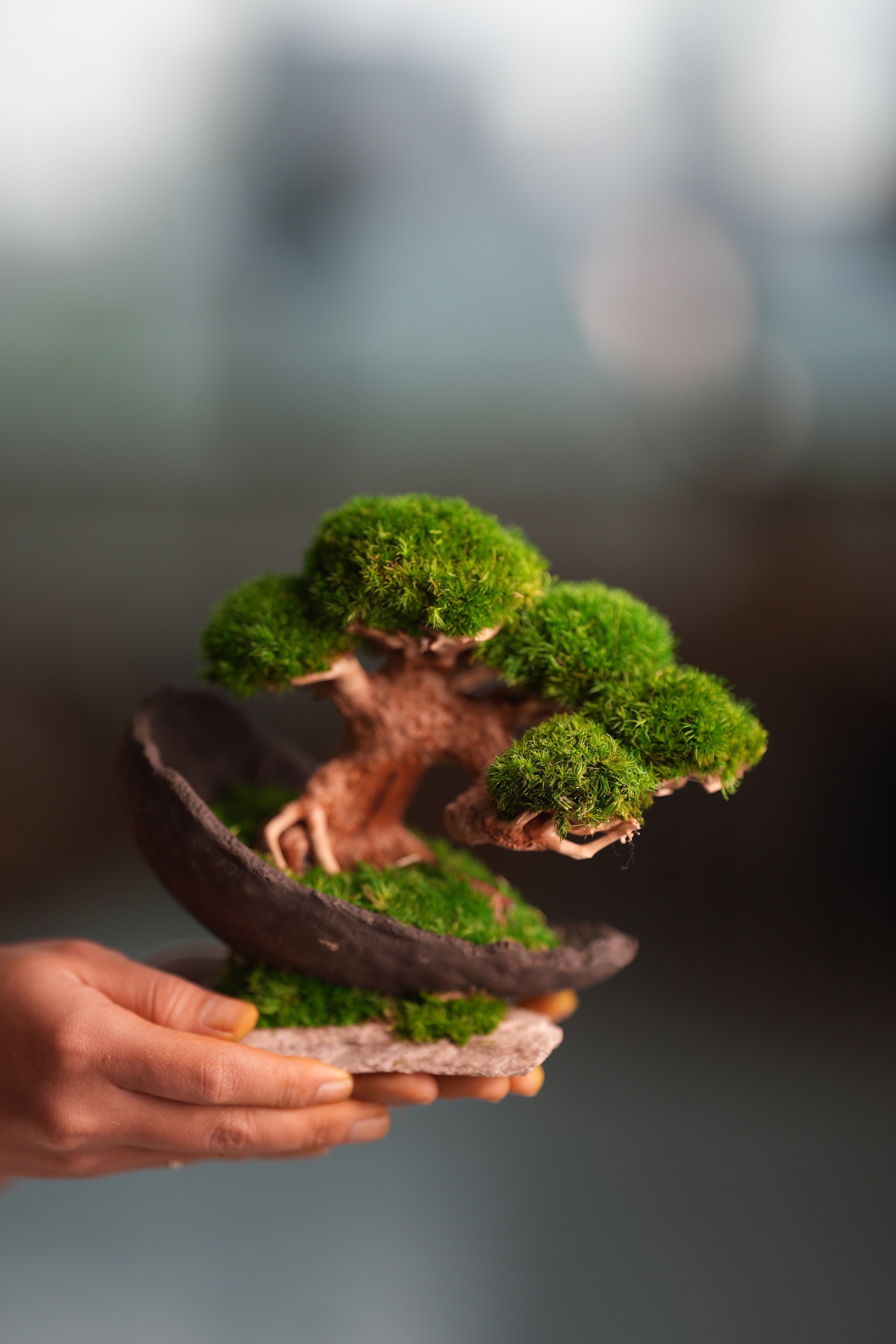 Slow Wood - Young - Half Moon (Preserved Plants)