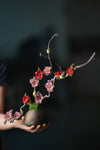 Children of the Forest - Vibrant (Preserved Plants)