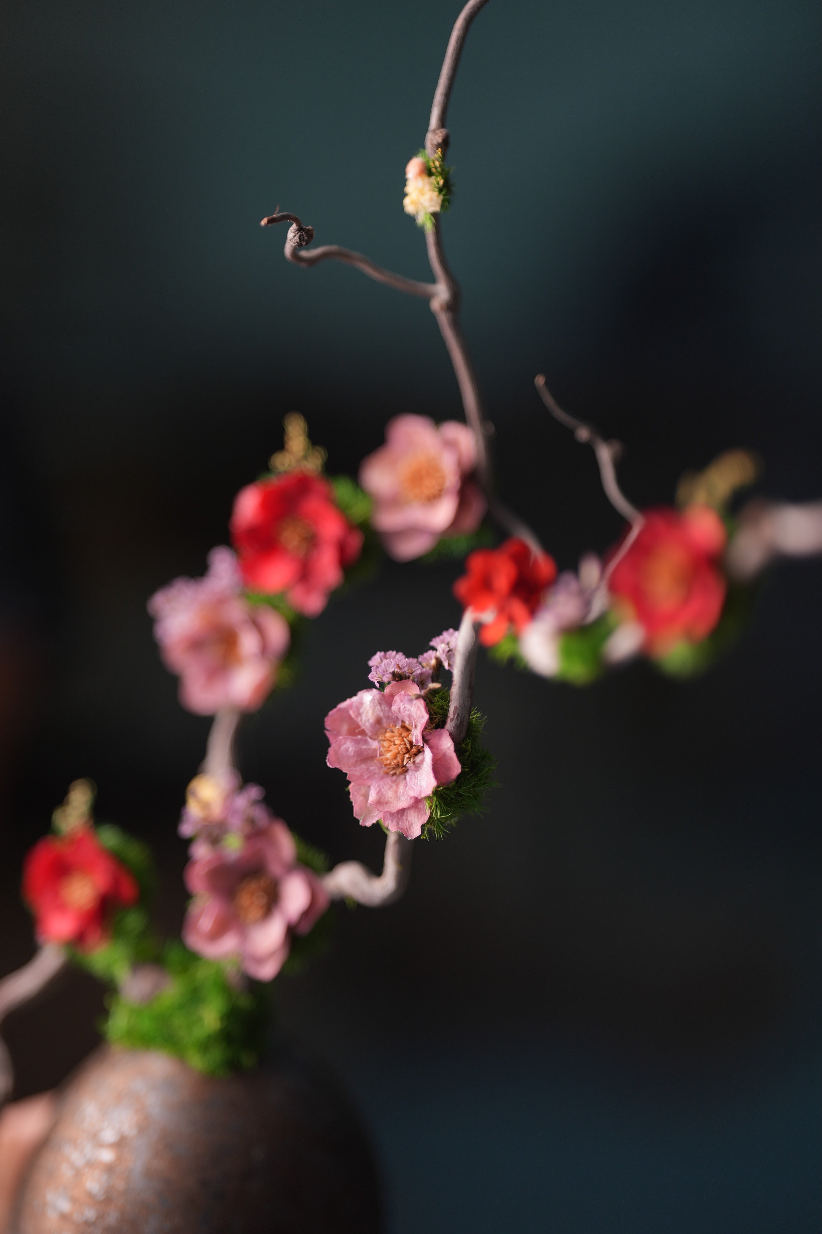 Children of the Forest - Vibrant (Preserved Plants)