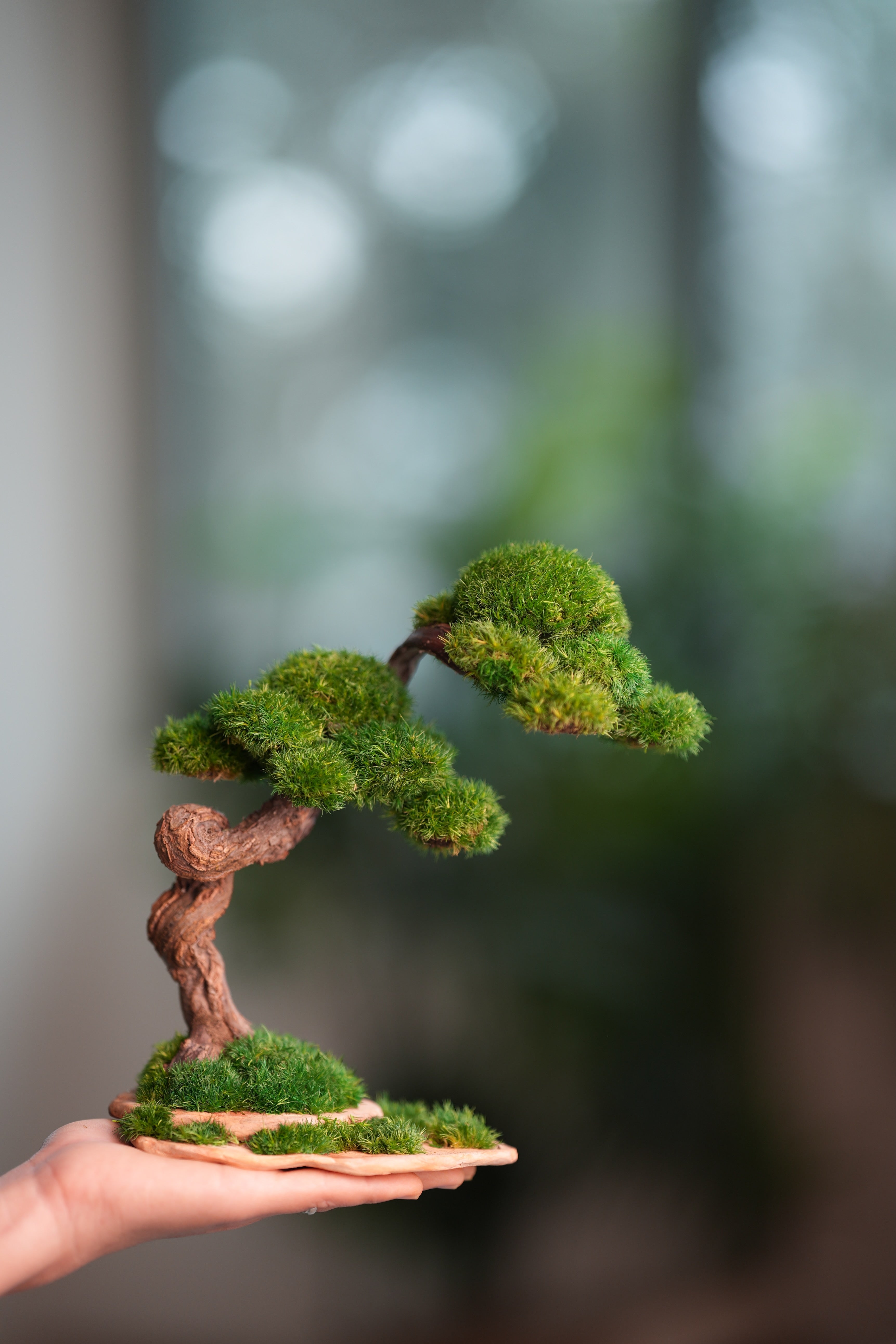 Rosewood - Cultured Wild (Preserved Plants)