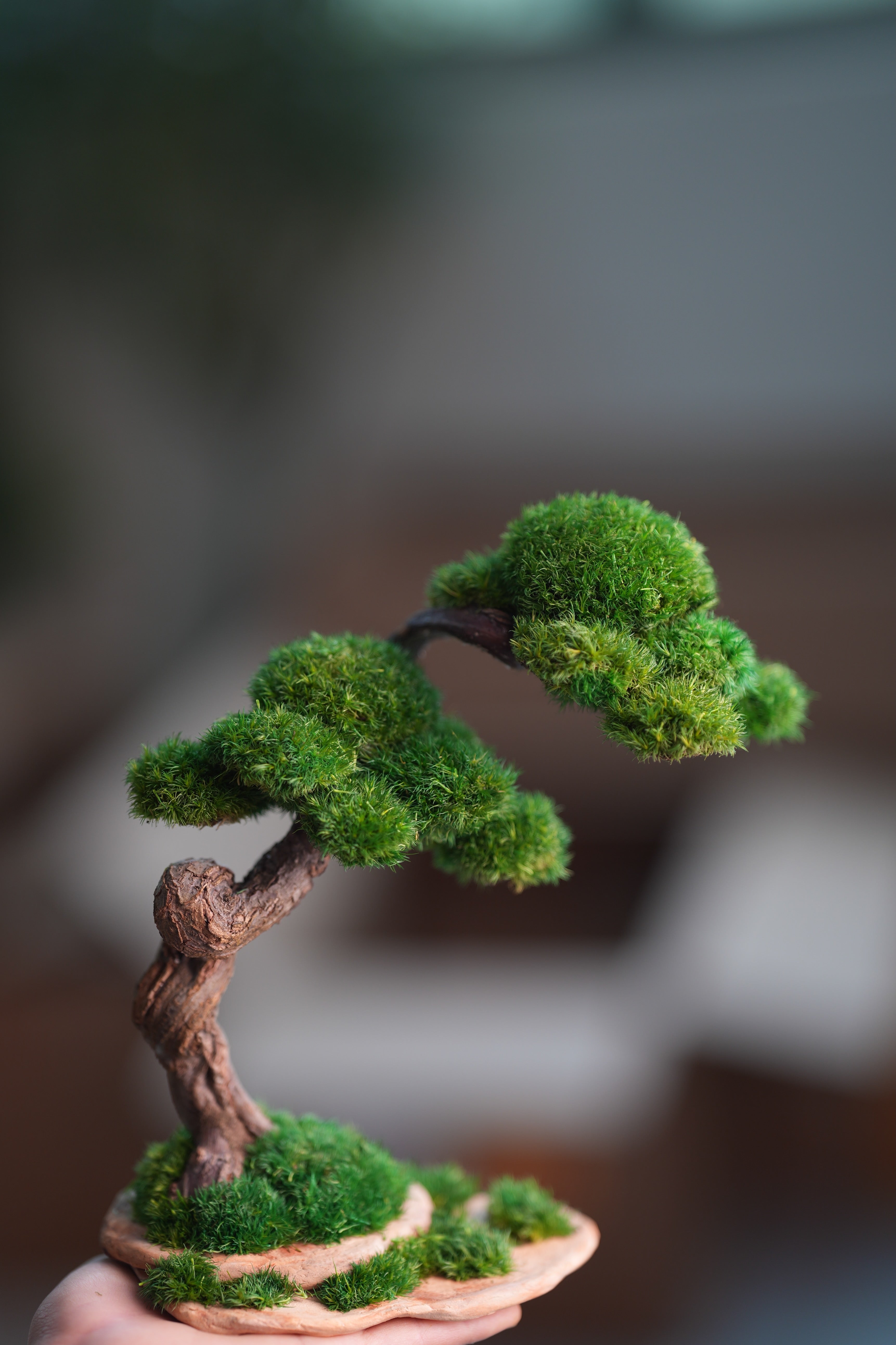 Rosewood - Cultured Wild (Preserved Plants)