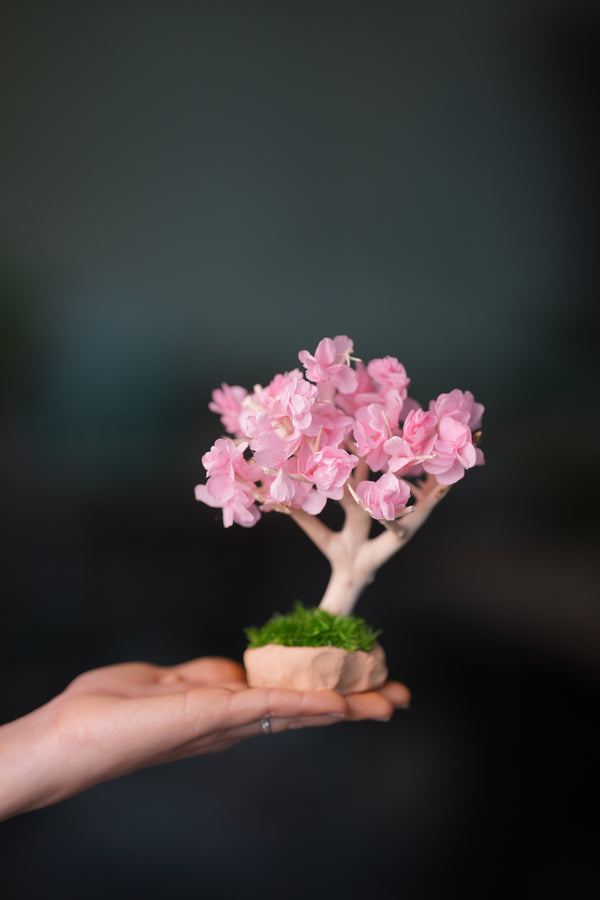 A Small Tree in the East - Sakura - Classics (Preserved Plants)
