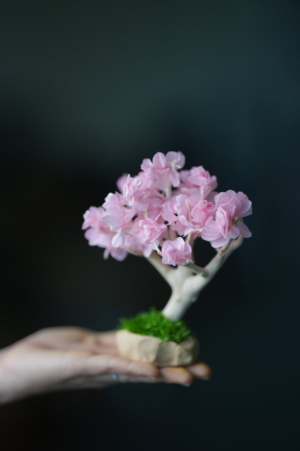 A Small Tree in the East - Sakura - Classics (Preserved Plants)