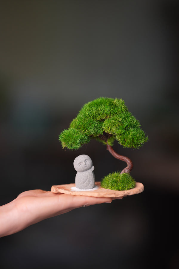 A Small Tree in the East - Classic - Journeyman (Preserved Plants)
