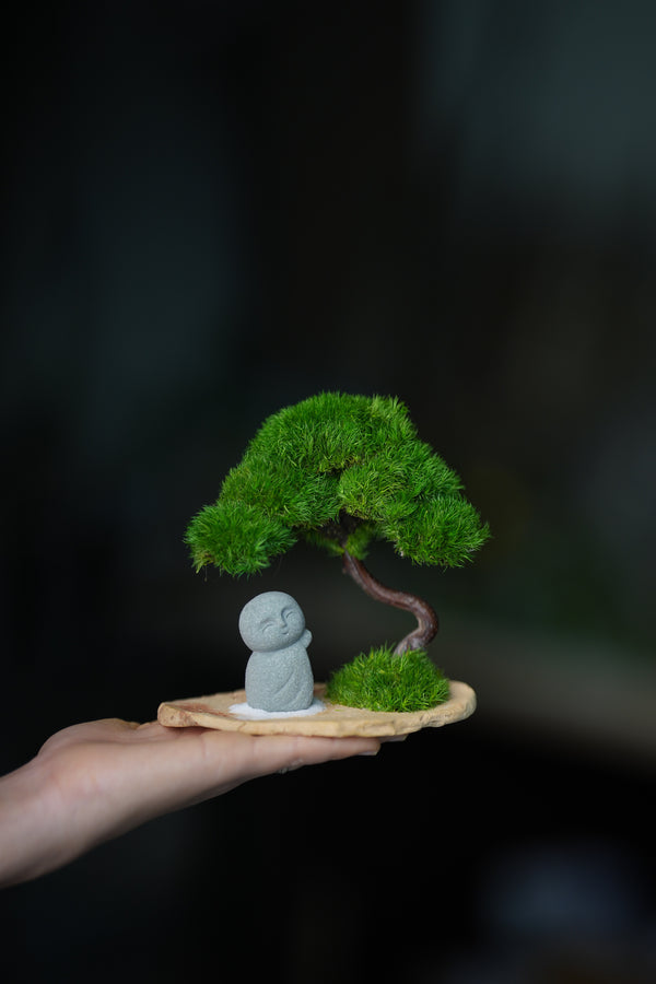 A Small Tree in the East - Classic - Journeyman (Preserved Plants)