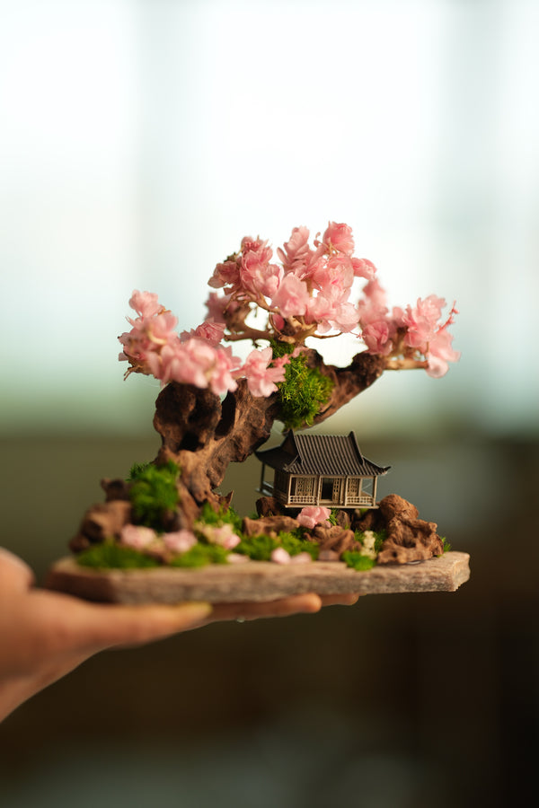 Blackwood Cliff - A Path in the East - Sakura of Spring (Preserved Plants)